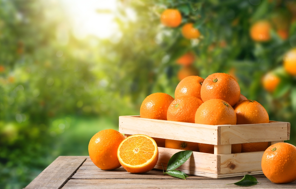 Photo of Fresh Oranges